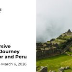 The Yellow Rocks team invites investors and entrepreneurs